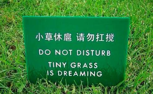 grass sign